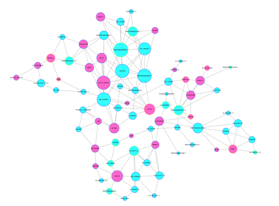 顺利获得关键 lncRNA 的共表达 mRNA 预测出其功能