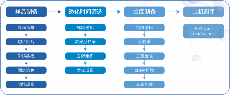 凯发k8国际空间转录组测序流程