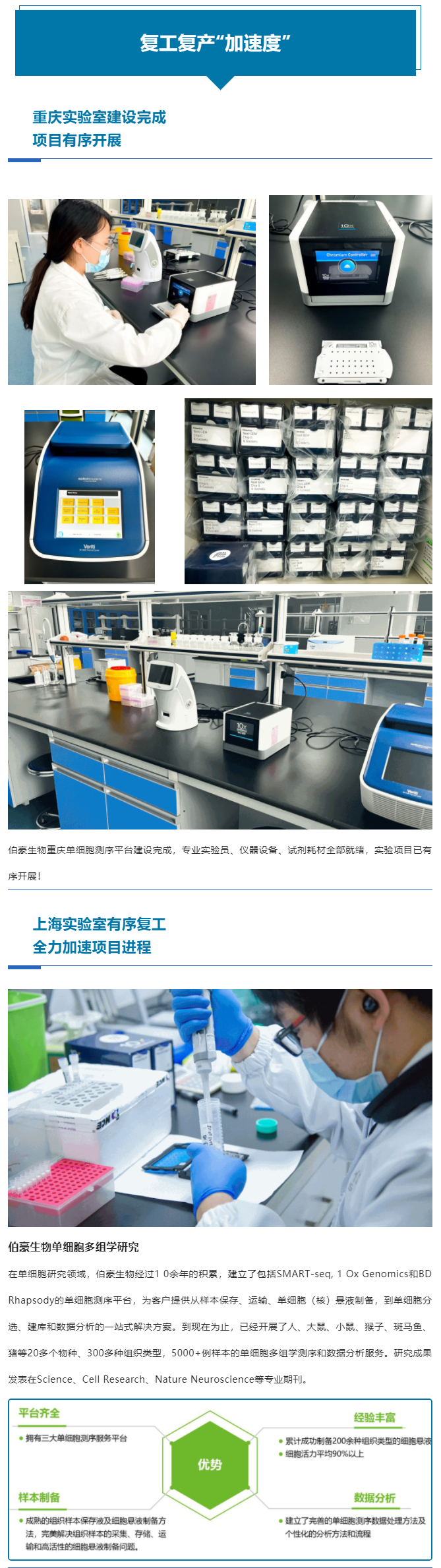 上海重庆齐头并进，全力以“复”跑出复工复产“加速度”