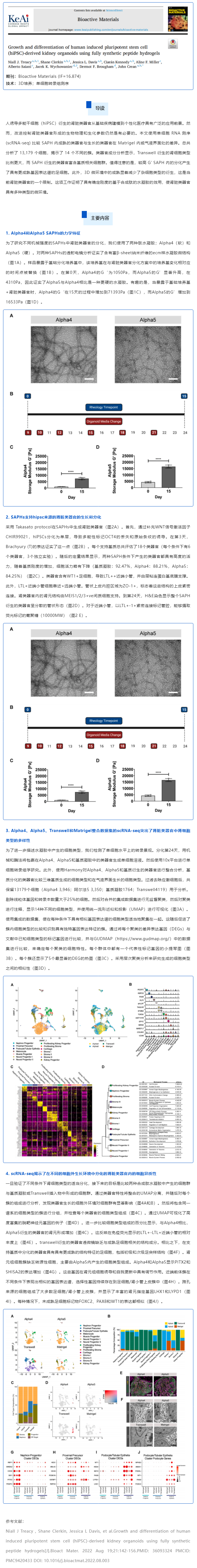 全合成肽水凝胶培养的人诱导多能干细胞（hiPSC）来源的肾类器官的生长和分化