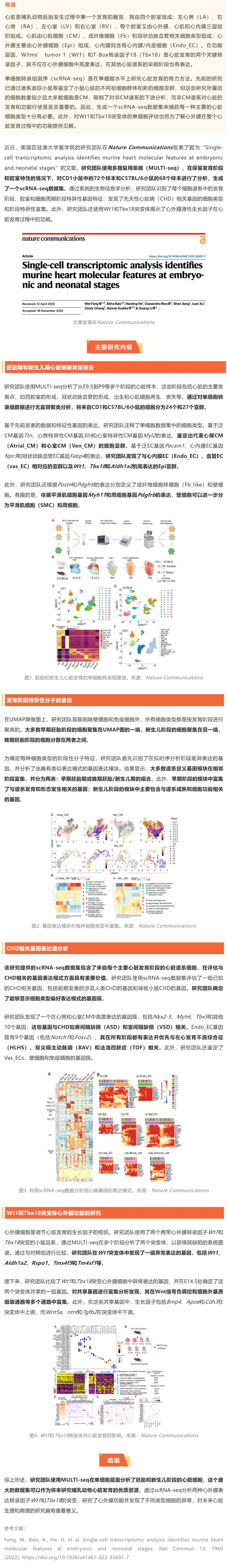 2023-01-31-Nat-Commun 发表胚胎及新生儿期小鼠心脏单细胞转录组图谱，揭示先天性心脏病相关基因的细胞类型及