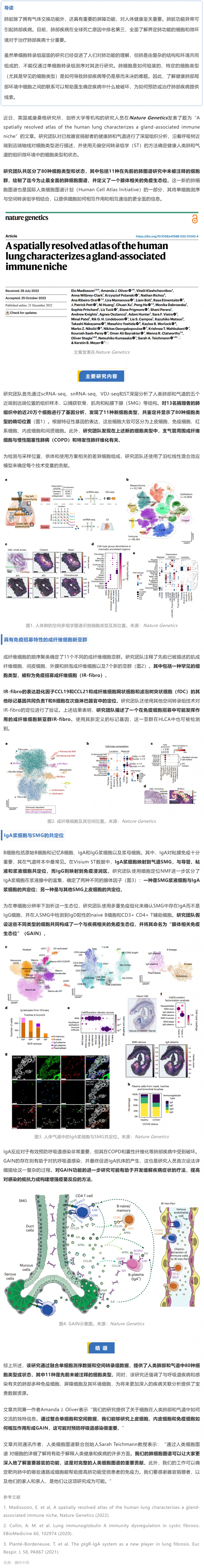 Nat Genet 发布迄今最全面的人类肺细胞空间图谱，首次揭示腺体相关的免疫生态位