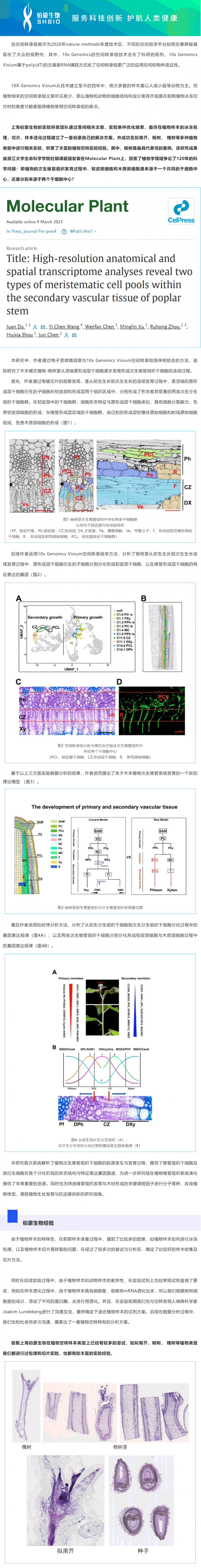 2023-03-17- 空转植物项目文章_凯发k8国际助力浙江大学科研生命学院杜娟课题组报道植物维管组织结构与发育研究领域新进展