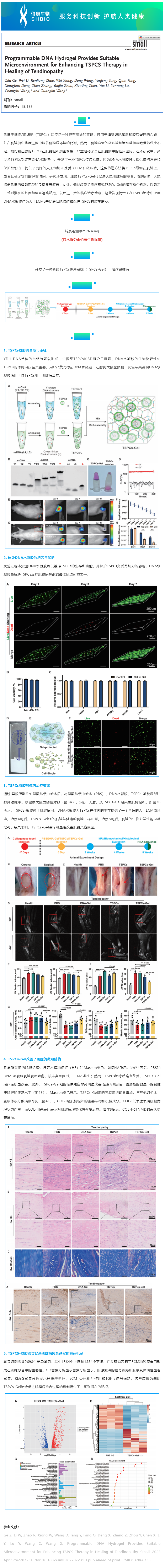 06-19 mRNAseq 项目文章_ 可编程 DNA 水凝胶为增强 TSPCs 治疗肌腱病的愈合给予了合适的微环境副本