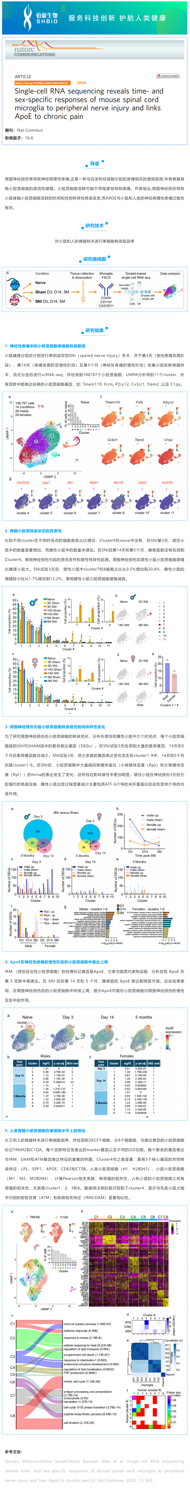 文献解读_单细胞 RNA 测序揭示了小鼠脊髓小胶质细胞对周围神经损伤的时间和性别特异性反应，并将 ApoE