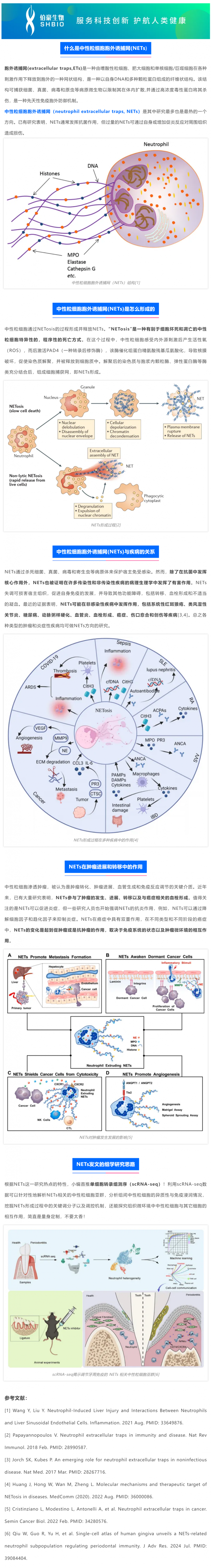 2025 国自然热点 _ 中性粒细胞胞外诱捕网（NETs) 该如何研究