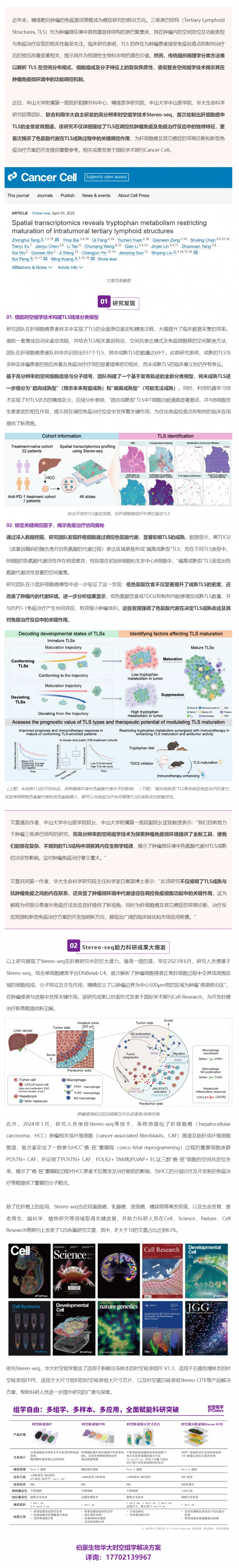 Cancer Cell _ 首个肝细胞癌中 TLS 的全景发育图谱！Stereo-seq 助力肝癌研究再获