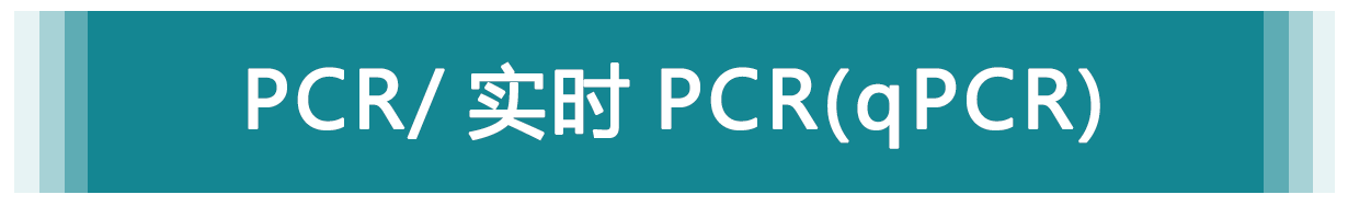 PCR/ 实时 PCR（qPCR）