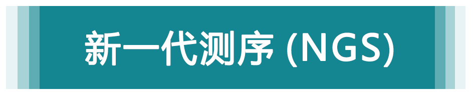 新一代测序（NGS）